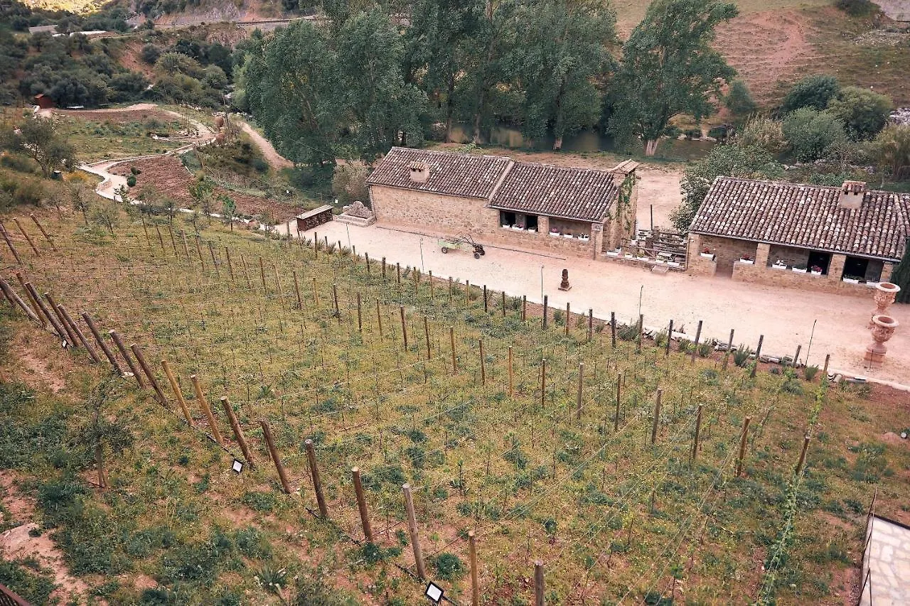 Eco Hotel Cueva Del Gato Benaojan