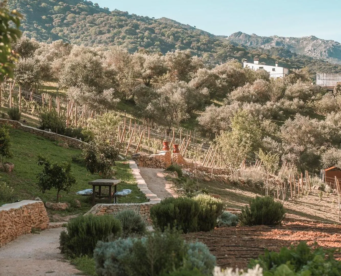 Eco Hotel Cueva Del Gato Benaojan