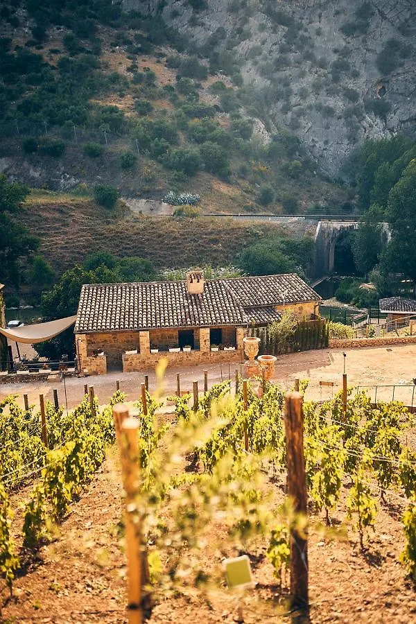 Eco Hotel Cueva Del Gato Benaoján